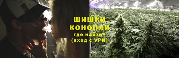 трава Богородицк