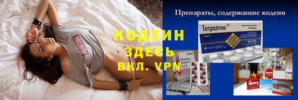спиды Богданович