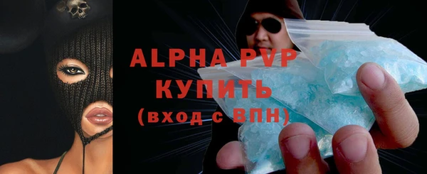 спиды Богданович