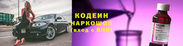 спиды Богданович