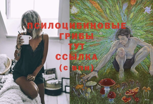 трава Богородицк