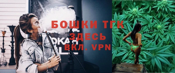спиды Богданович
