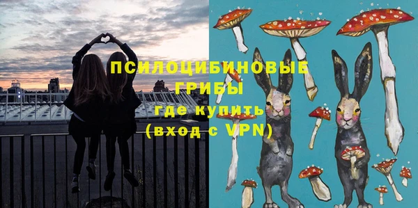трава Богородицк