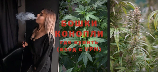 спиды Богданович
