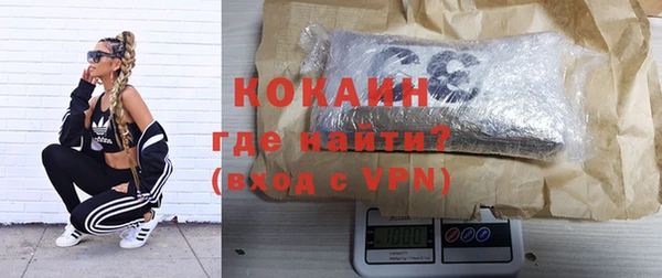 спиды Богданович