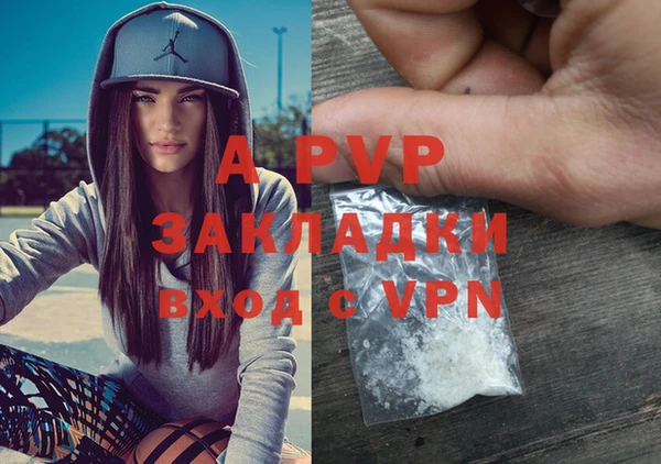 трава Богородицк